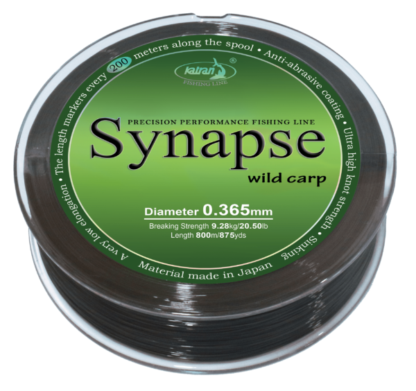 SYNAPSE Wild Carp